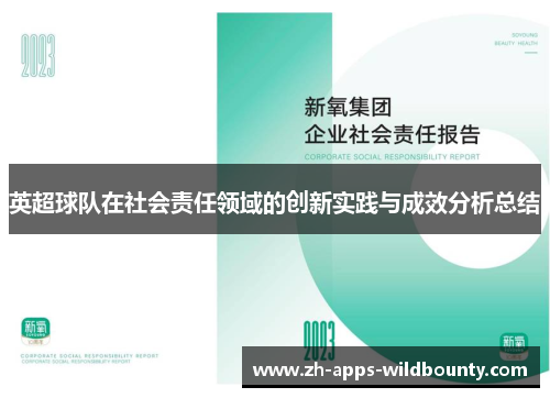 英超球队在社会责任领域的创新实践与成效分析总结