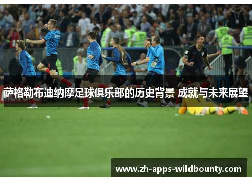 萨格勒布迪纳摩足球俱乐部的历史背景 成就与未来展望