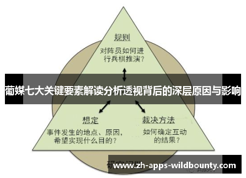 葡媒七大关键要素解读分析透视背后的深层原因与影响