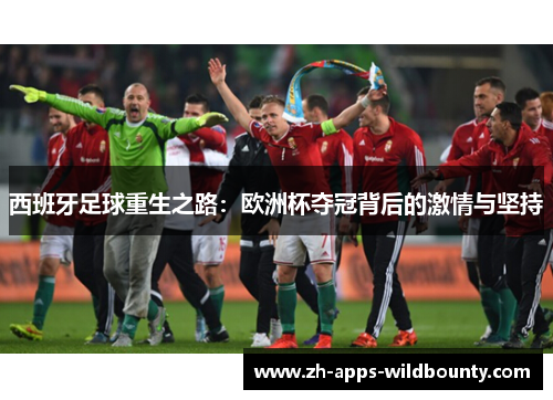 西班牙足球重生之路：欧洲杯夺冠背后的激情与坚持